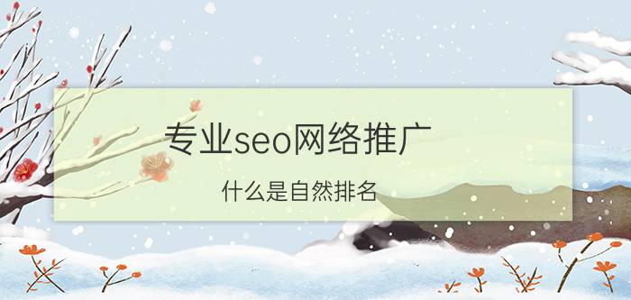 专业seo网络推广 什么是自然排名（SEO）？